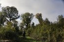 Sud du Sauvegeon